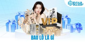 bao lô là gì
