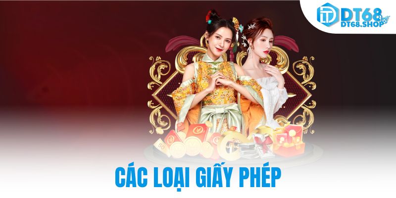 Các loại giấy phép