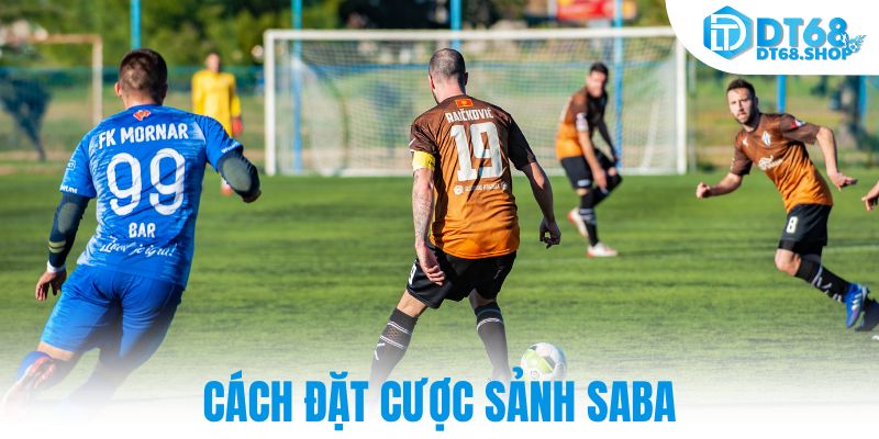 Cách đặt cược sảnh saba