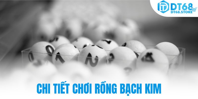 Chi tiết chơi rồng bạch kim