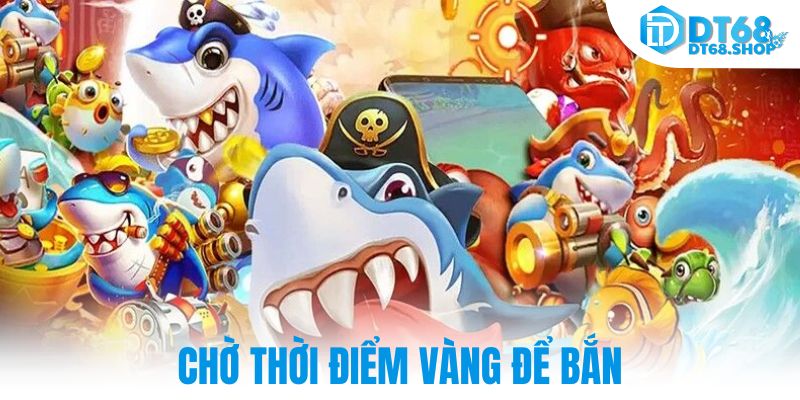 Chờ thời điểm vàng để bắn