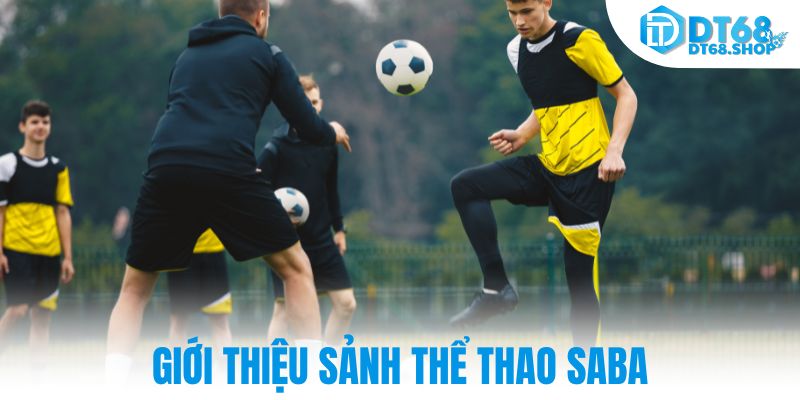 Giới thiệu sảnh thể thao saba