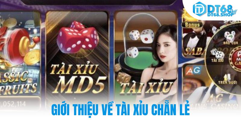 Giới thiệu về tài xỉu chẵn lẻ