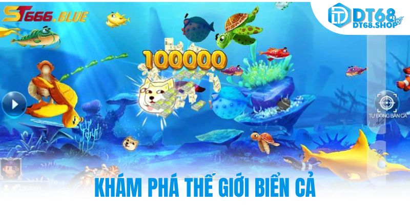 Khám phá thế giới biển cả