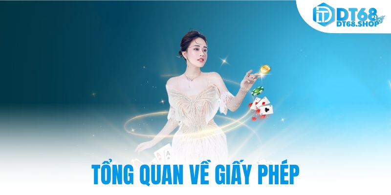 Tổng quan về giấy phép