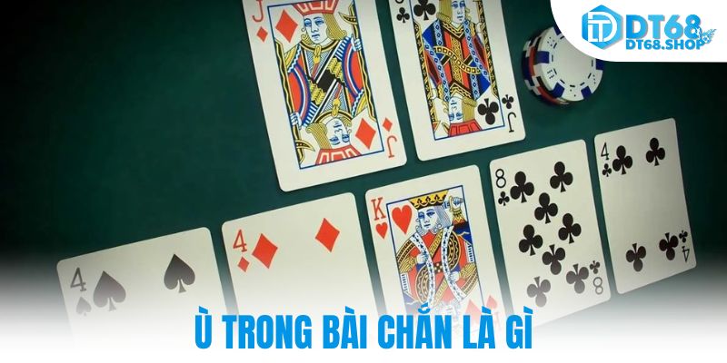 Ù trong bài chắn là gì